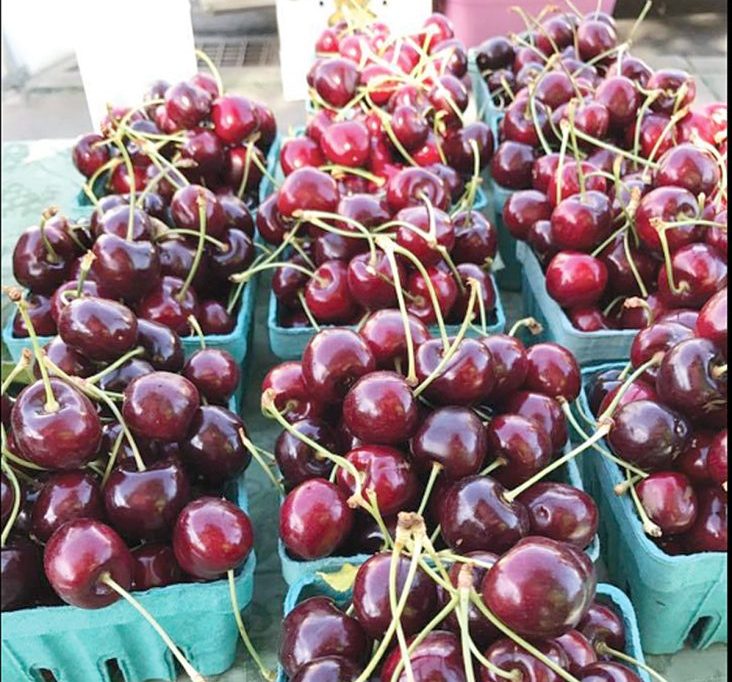 Milton-Freewater Farmers Market offers fresh cherries