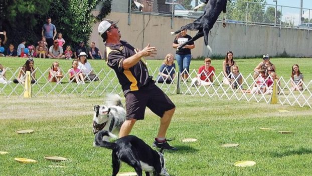 The K9 Kings Flying Dog Show is featured daily during the 2025 Umatilla County Fair.