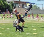The K9 Kings Flying Dog Show is featured daily during the 2025 Umatilla County Fair.
