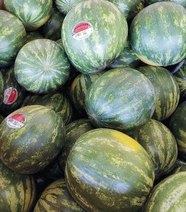 Bellinger Farms provides melons for the Irrigon Watermelon Festival