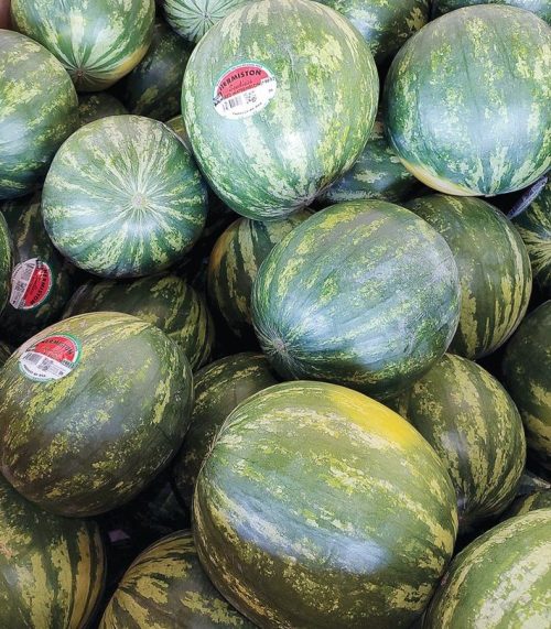 Bellinger Farms provides melons for the Irrigon Watermelon Festival