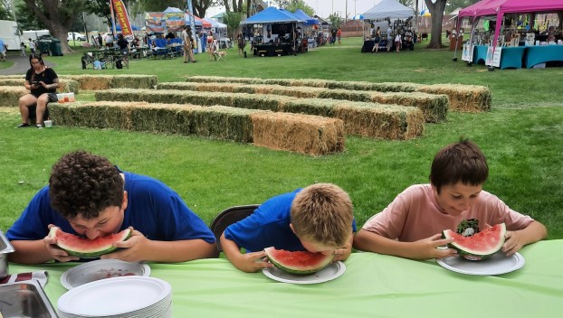 Weekend at the Blues festival 2024