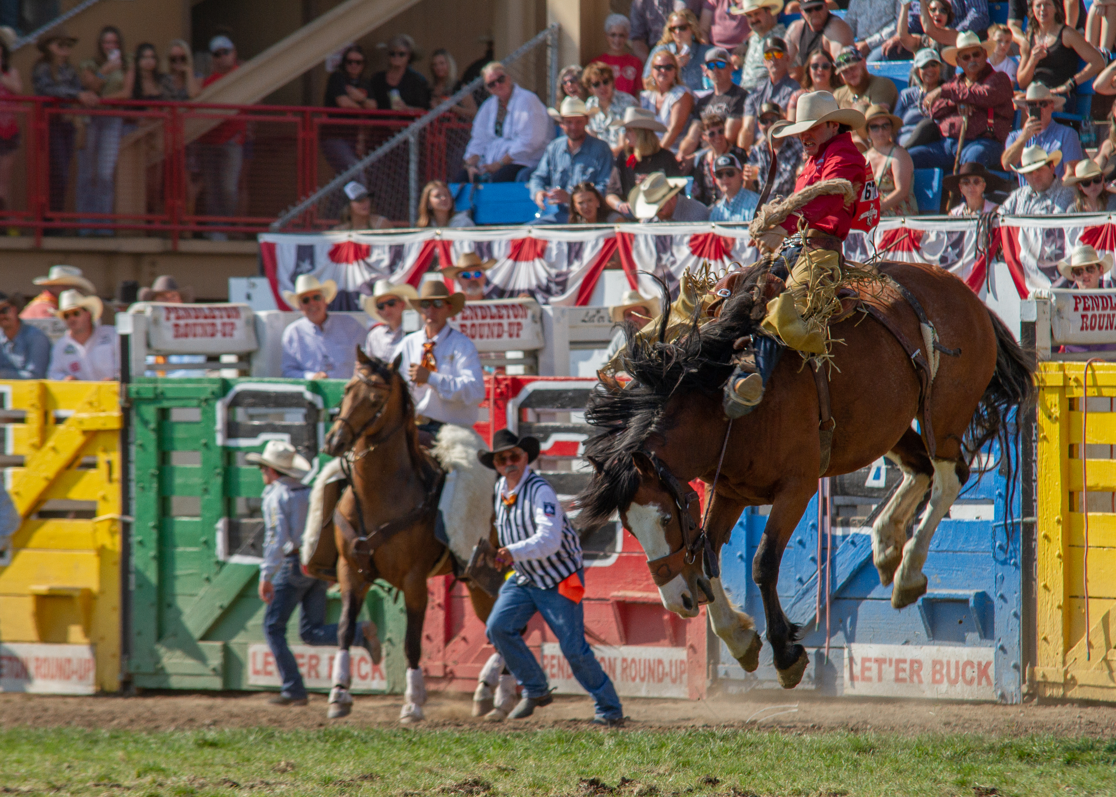 Unforgettable rodeo glory at Pendleton Round-Up finals | East Oregonian, image size:4562x3259