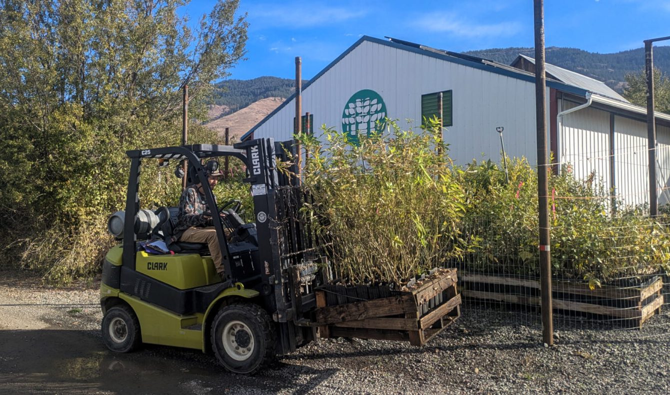 Cove nursery among small businesses caught in the fray of government shutdown