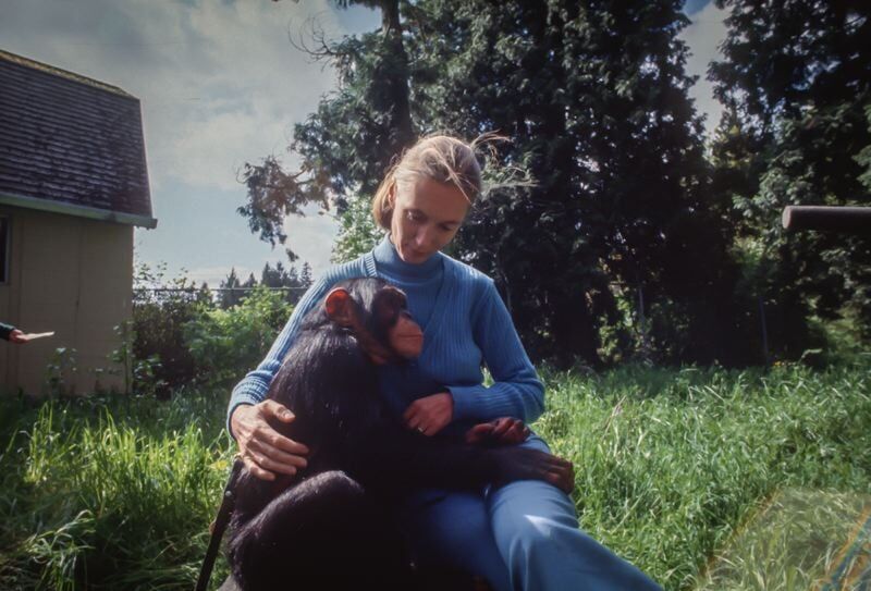 Other Views: Honoring Jane Goodall by protecting Oregon’s wildlife