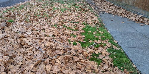 Oregon weather for Dec. 17-21