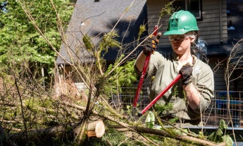 CWCP-1-2-e1707241586536.jpg?w=500