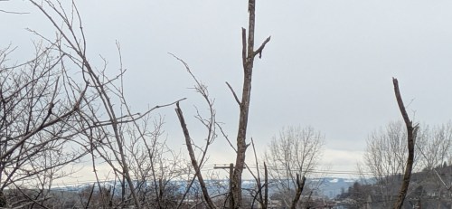 EO-weather-1-6-26.jpg?w=500