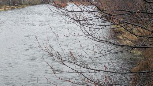 2-24-26-Pendleton-weather.jpg?w=500