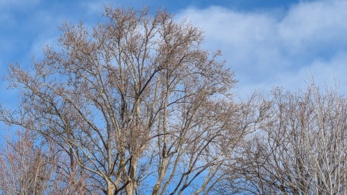 News_weather_pic_021826_TEO.jpg?w=500