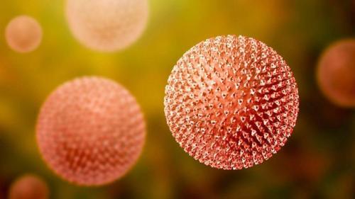 Oregon Health Authority detects measles in Morrow County