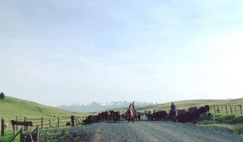 The-Northeast-Oregon-Rangelands-Summit-r